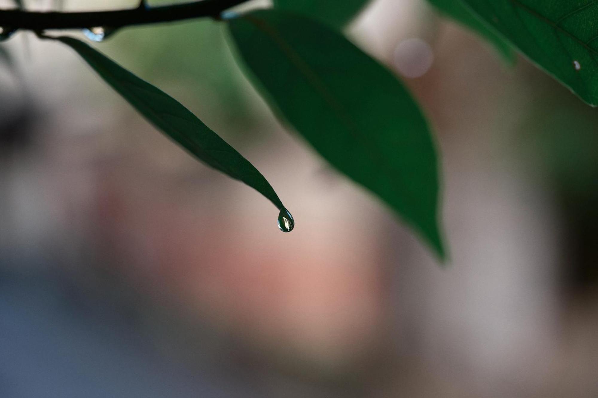 דירות Unsui 武雄蓬莱町 雲水 מראה חיצוני תמונה
